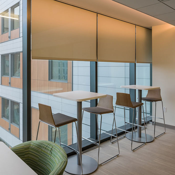 Draper Motorized Shades